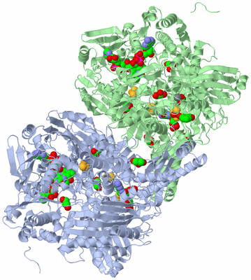 Image Asym./Biol. Unit