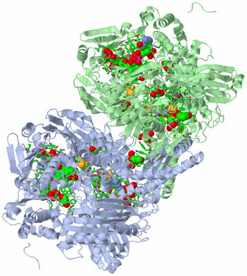 Image Asym./Biol. Unit - sites