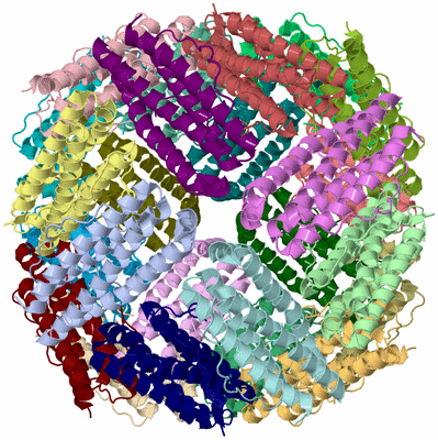 Image Asym./Biol. Unit