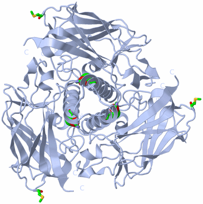 Image Biol. Unit 1 - sites