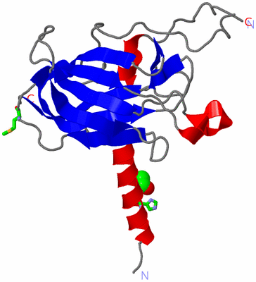 Image Asym. Unit - sites