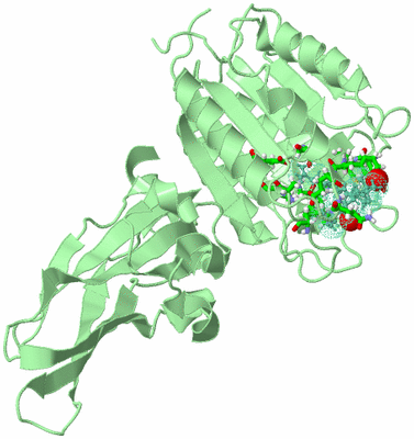 Image Biol. Unit 1 - sites