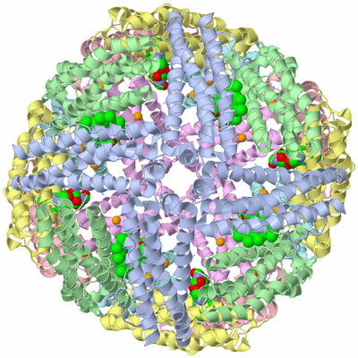 Image Biological Unit 1