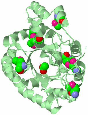 Image Biological Unit 2