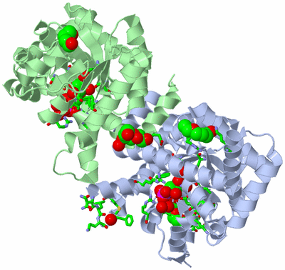 Image Asym./Biol. Unit - sites