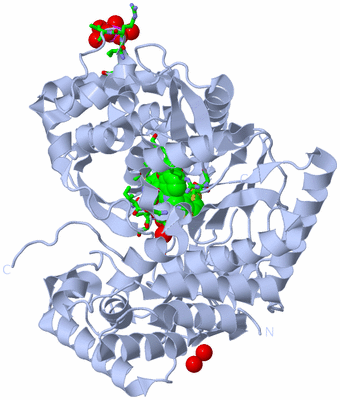 Image Biol. Unit 1 - sites