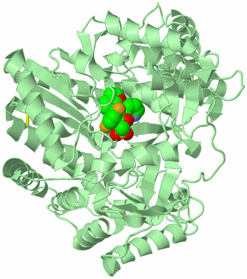 Image Biological Unit 2