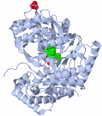 Image Biological Unit 1