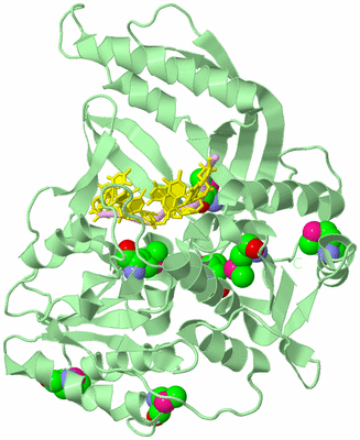 Image Biological Unit 2