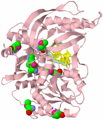 Image Biological Unit 3