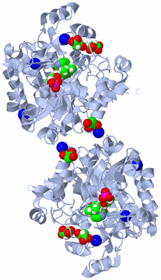 Image Biological Unit 1