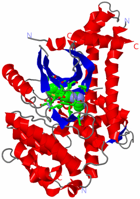 Image Asym./Biol. Unit - sites