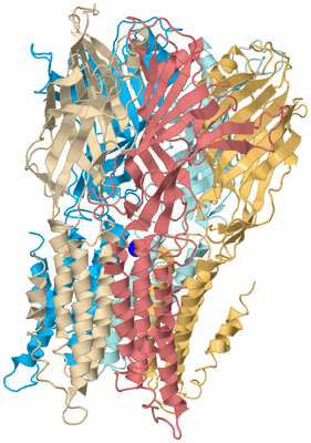 Image Biological Unit 2