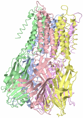 Image Biological Unit 1