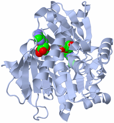 Image Biological Unit 1