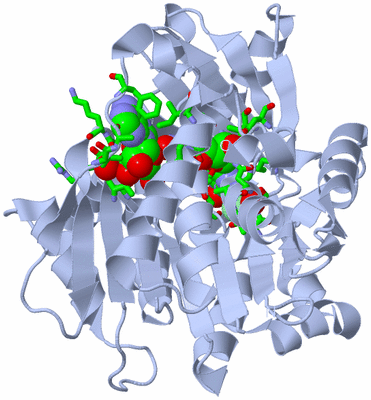 Image Biol. Unit 1 - sites