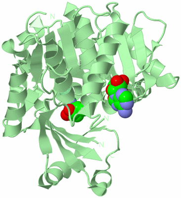 Image Biological Unit 2