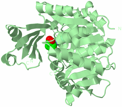 Image Biological Unit 2