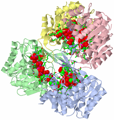 Image Asym./Biol. Unit - sites