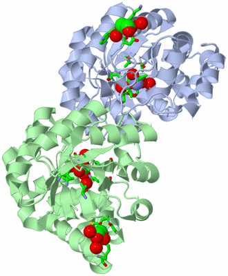 Image Asym./Biol. Unit - sites