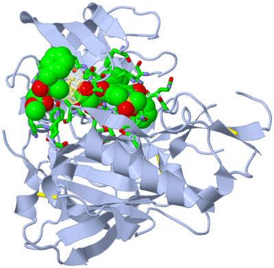 Image Biol. Unit 1 - sites