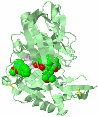 Image Biological Unit 2