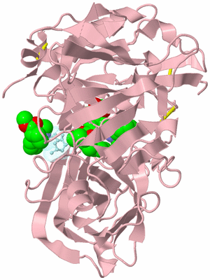 Image Biological Unit 3