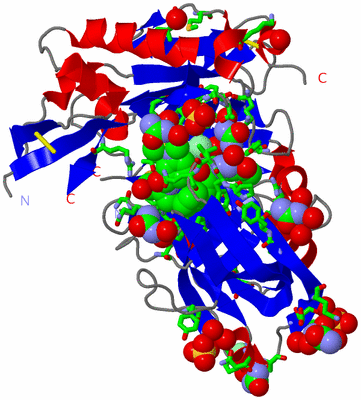 Image Asym./Biol. Unit - sites