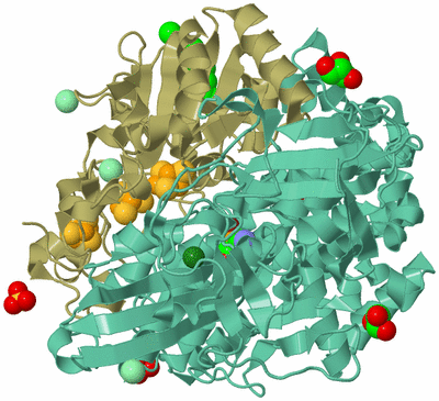 Image Biological Unit 1