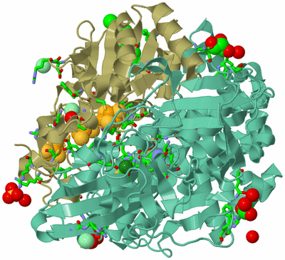 Image Biol. Unit 1 - sites