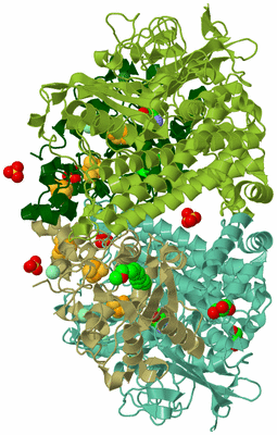 Image Biological Unit 3