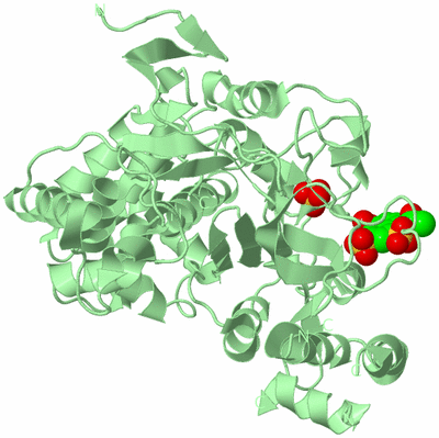 Image Biological Unit 2