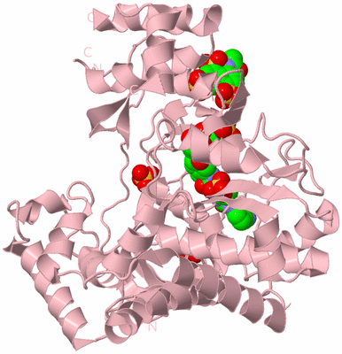 Image Biological Unit 3