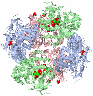 Image Biological Unit 4