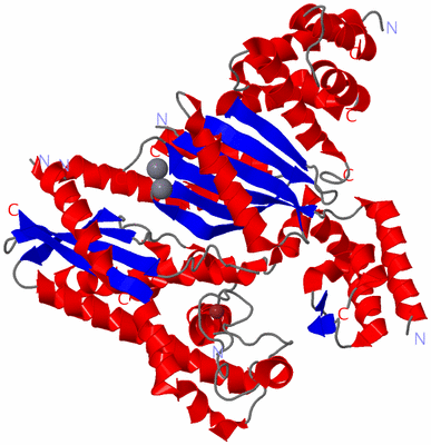 Image Asym./Biol. Unit