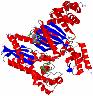 Image Asym./Biol. Unit - sites