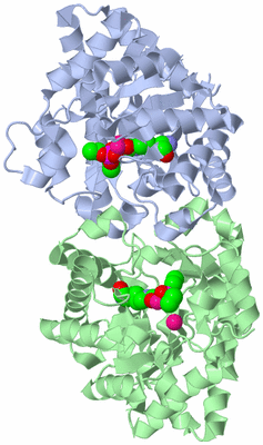 Image Asym./Biol. Unit