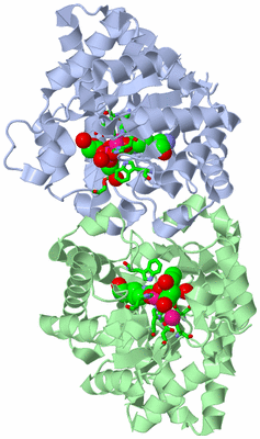 Image Asym./Biol. Unit - sites