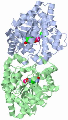 Image Asym./Biol. Unit