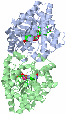 Image Asym./Biol. Unit - sites