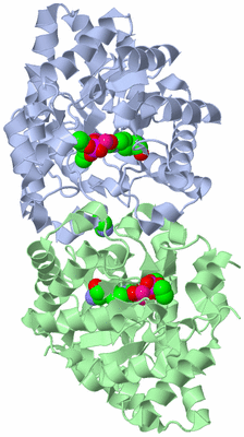 Image Asym./Biol. Unit