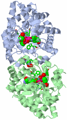 Image Asym./Biol. Unit - sites