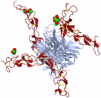 Image Biological Unit 1