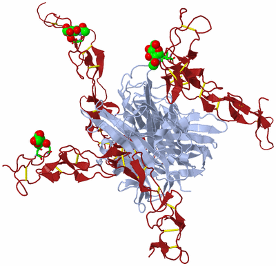 Image Biol. Unit 1 - sites