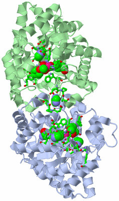 Image Asym./Biol. Unit - sites