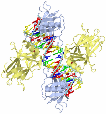 Image Biological Unit 1