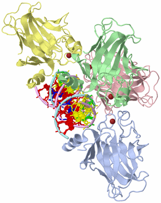 Image Biological Unit 1