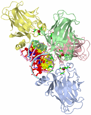 Image Biol. Unit 1 - sites