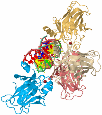 Image Biological Unit 2