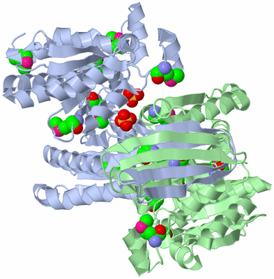 Image Asym./Biol. Unit